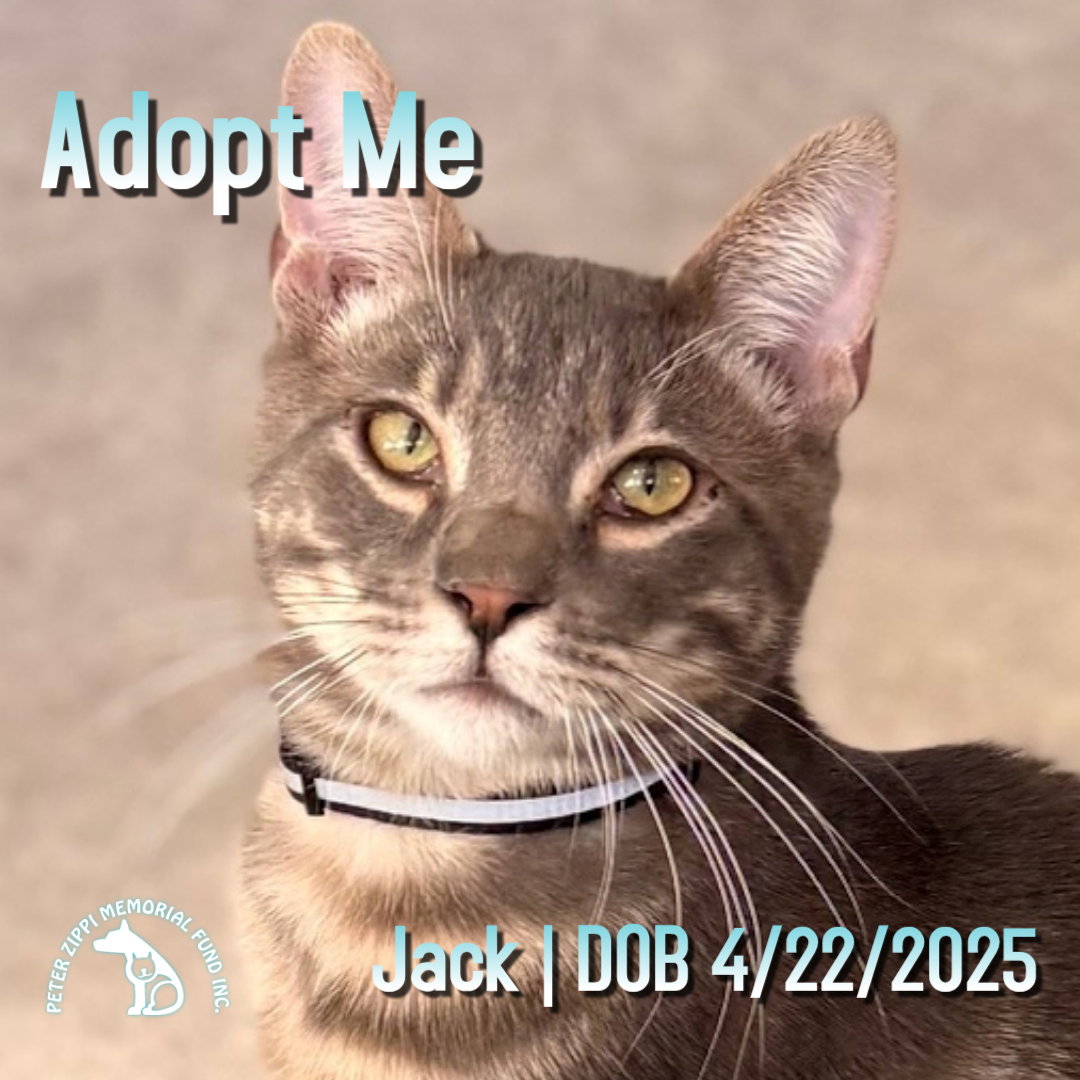 Jack