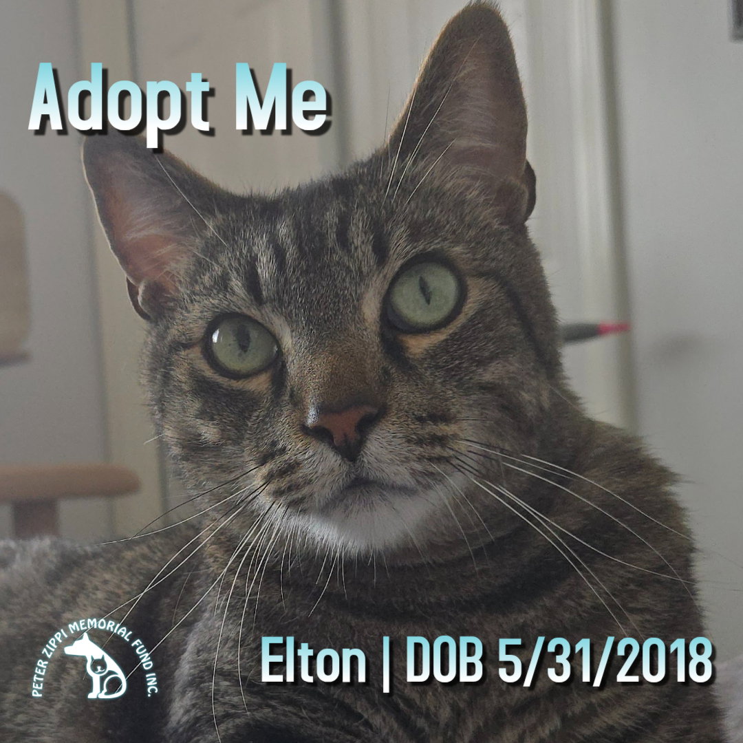 Elton