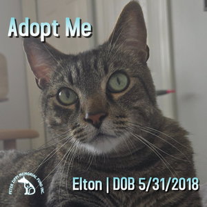 Elton