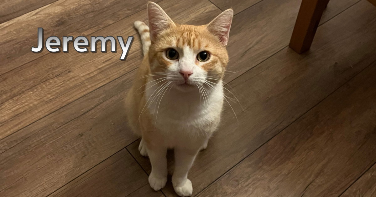 Jeremy