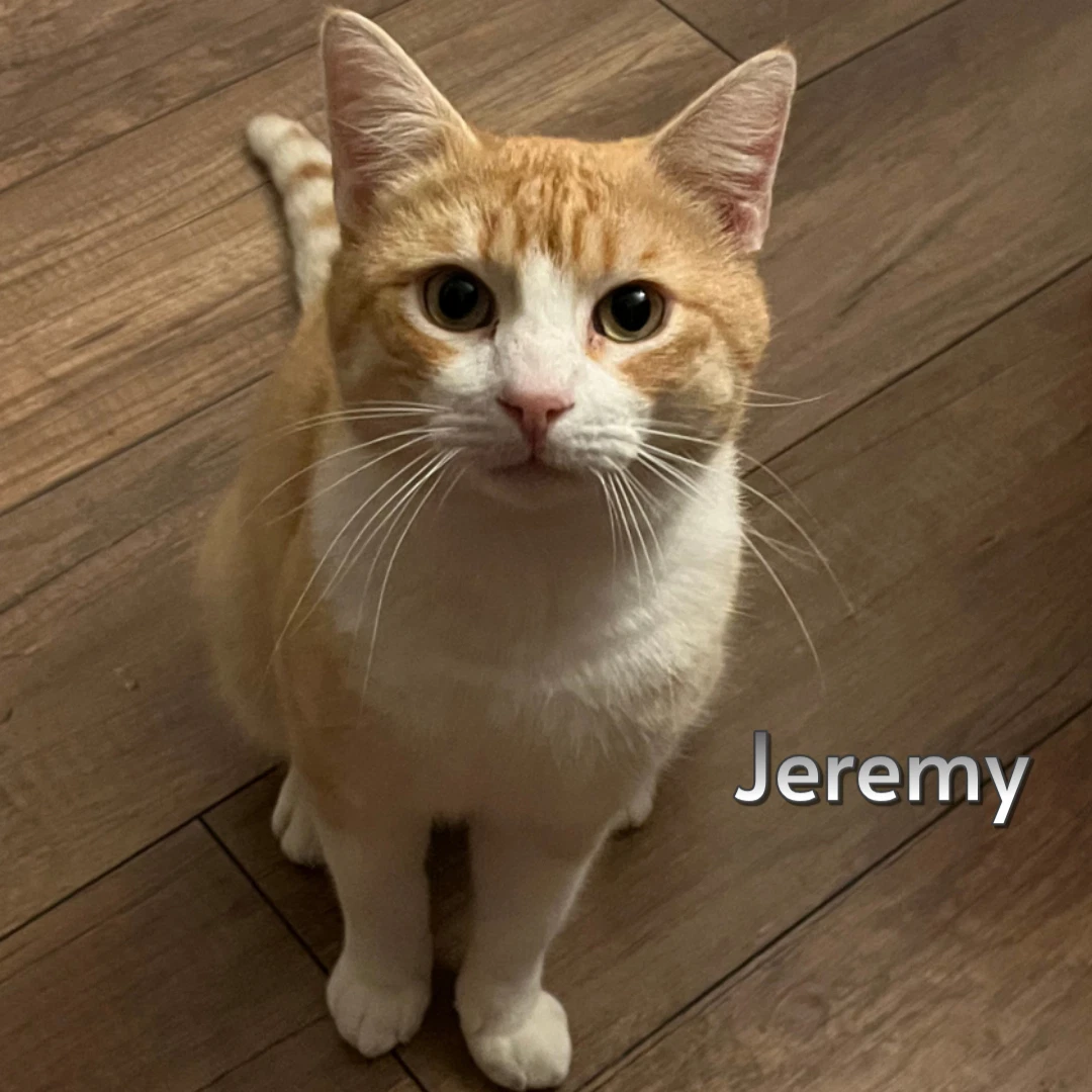 Jeremy