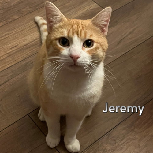 Jeremy