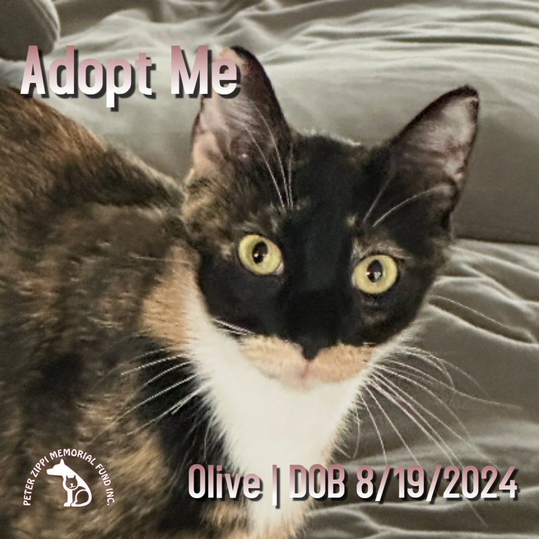 Olive