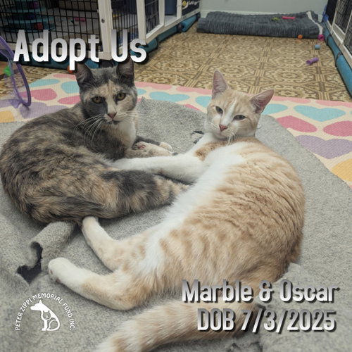 Marble & Oscar