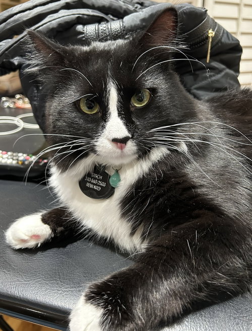 Photo 2 of Stitch (Courtesy Posting)