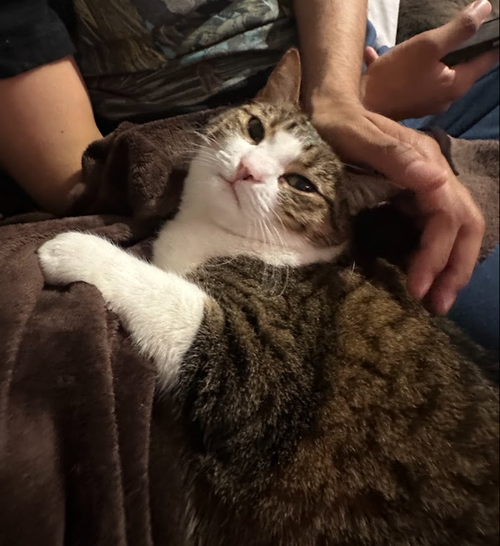Photo 2 of Tabitha