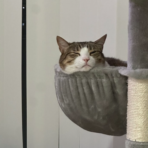 Photo 4 of Tabitha