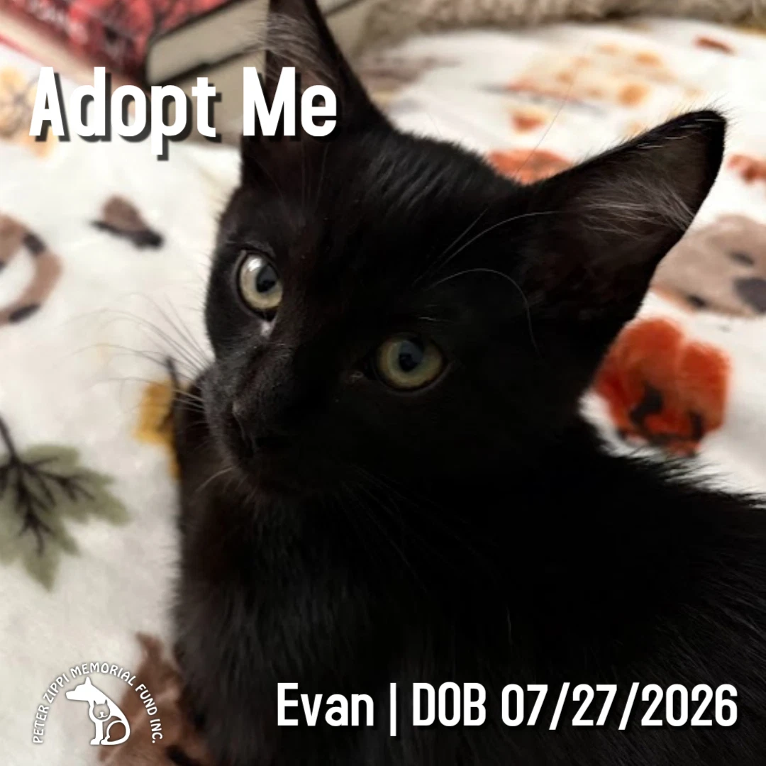 Evan