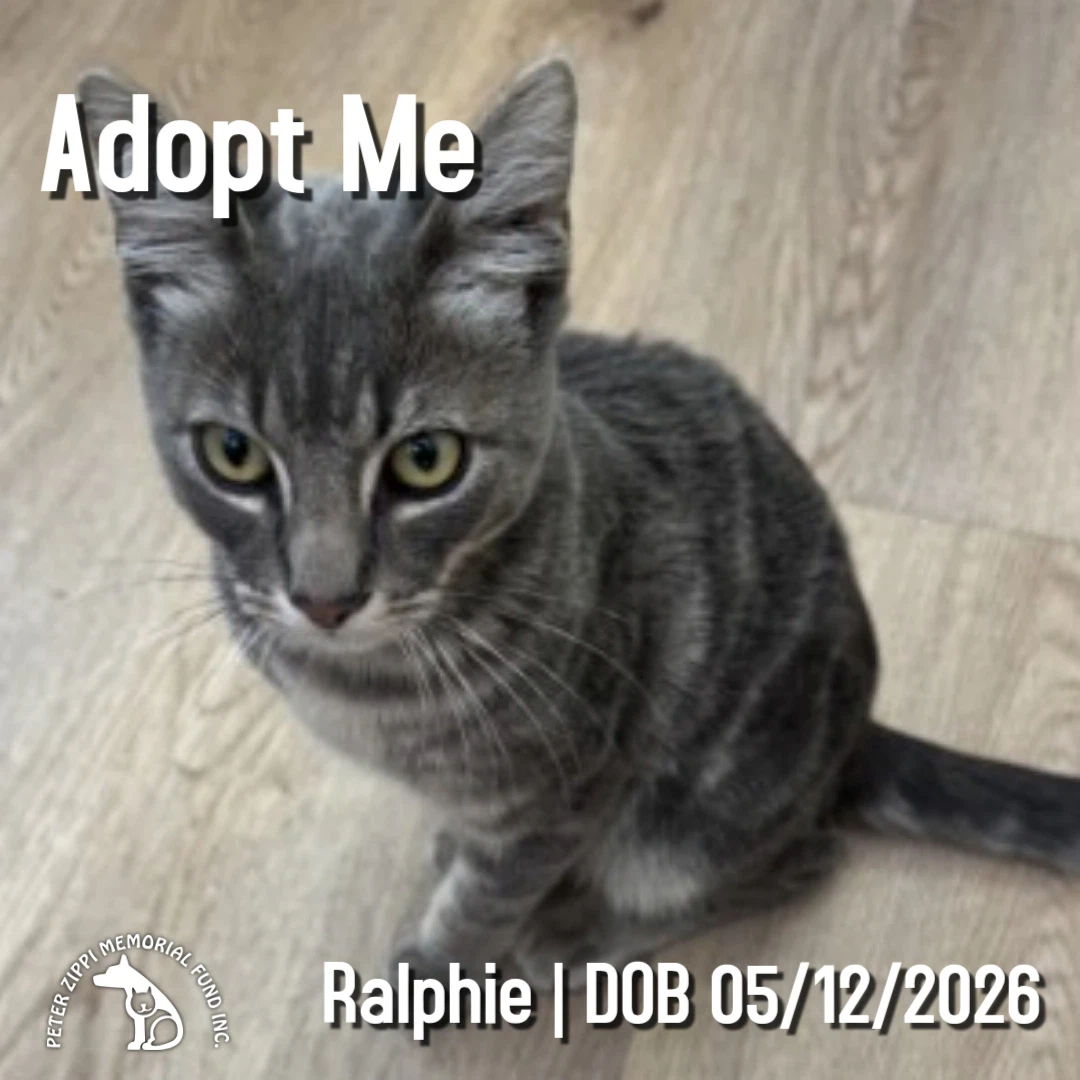 Ralphie
