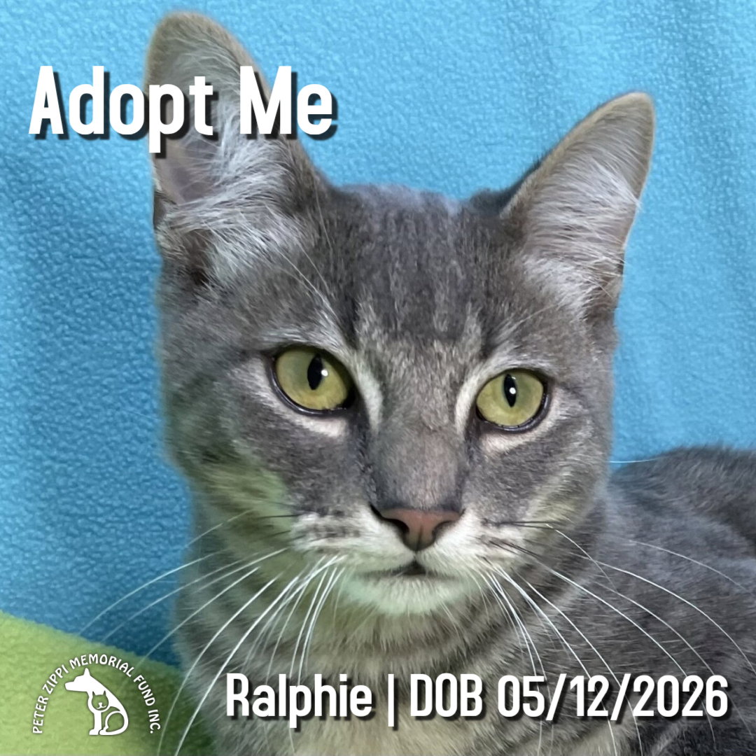 Ralphie