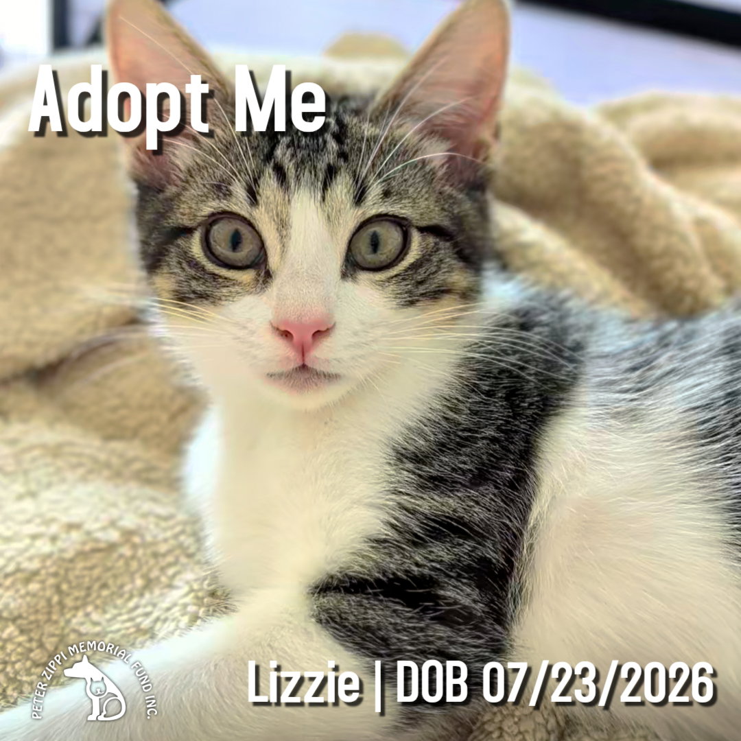 Lizzie