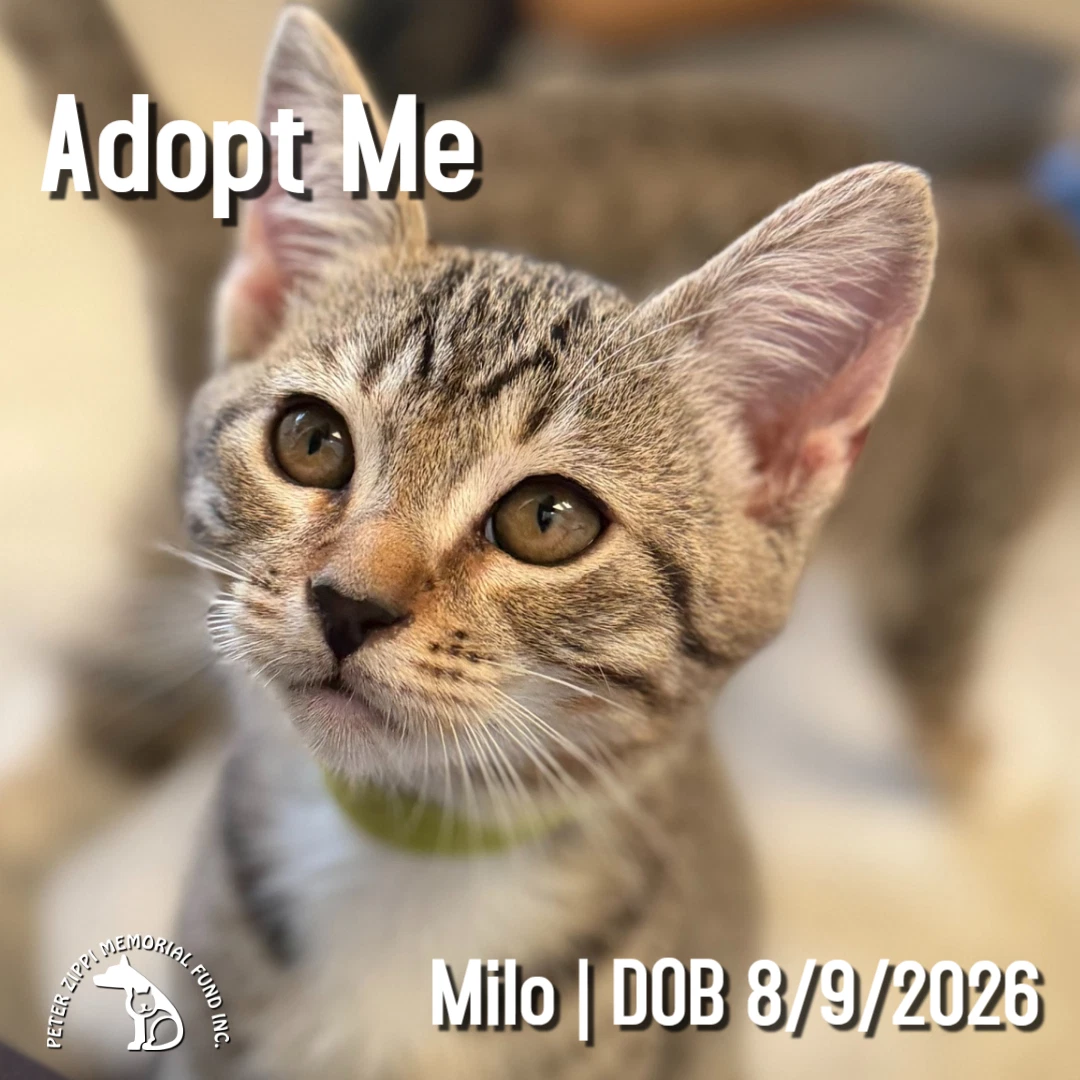 Milo