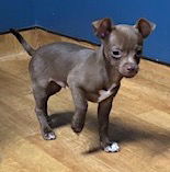 Hershey
