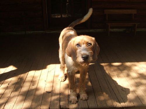 Tucker