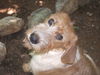 Tucker