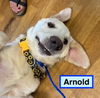 Arnold