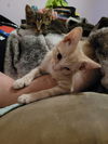 Reginald & Natalie