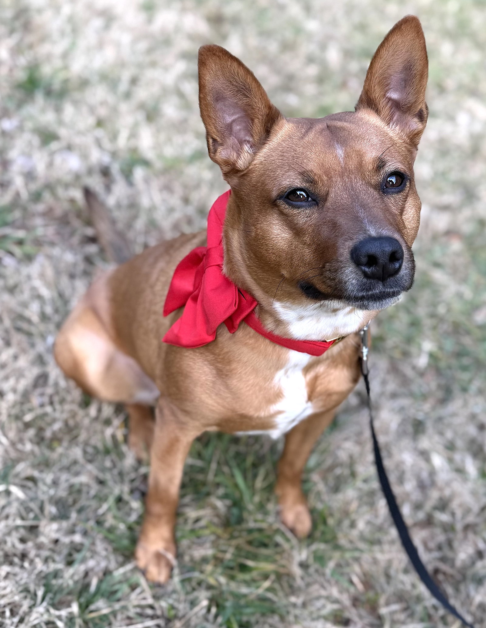 Matilda