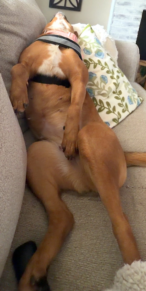 Matilda