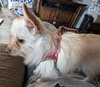 Jenny
