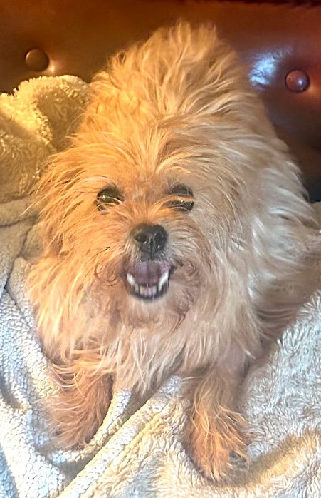 Bailey photo 3