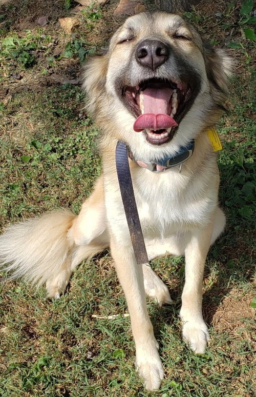 Photo 2 of Pepper