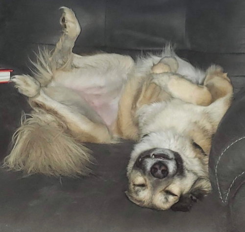 Photo 5 of Pepper