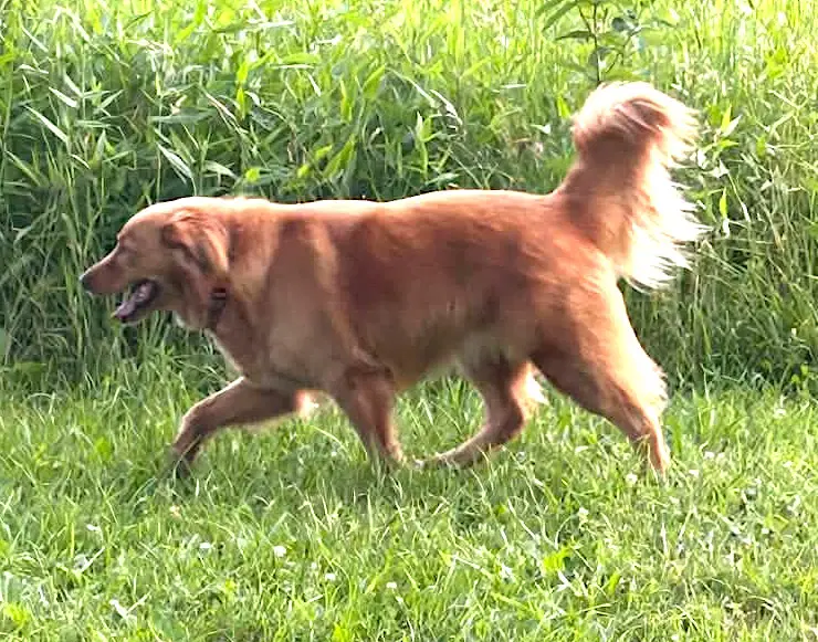 Izzy image 3
