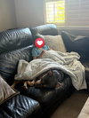 Chula 283626 - Photo 2