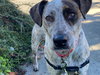 Nala A436430 - Photo 1