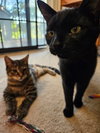Rio 305712 and Rudy 305713 - Photo 2