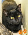 Rio 305712 and Rudy 305713 - Photo 4