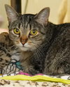 Sunshine 277184 - Photo 1
