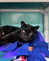 Harrison 307475 - Photo 2