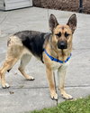 Lydia 307418 - Photo 2