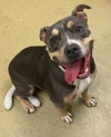 Lulu 51041 - Photo 1