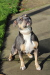 Lulu 51041 - Photo 2