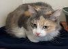 Charlotte 51412 - Photo 1