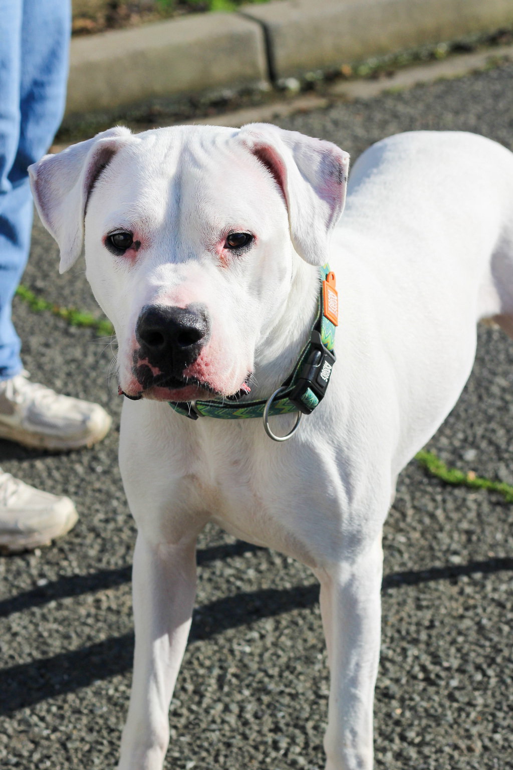Sadie 51473 Image
