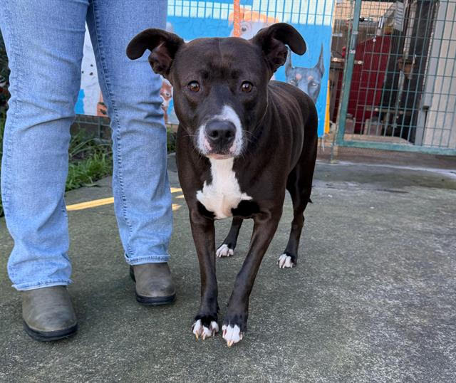 Beautiful A438469