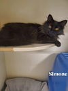 Simone