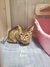 June