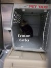 Fenton-Intake through 8/24/22