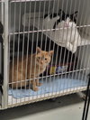 Checkers (Bonded w/Bartholomew) - Photo 4