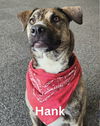 Hank