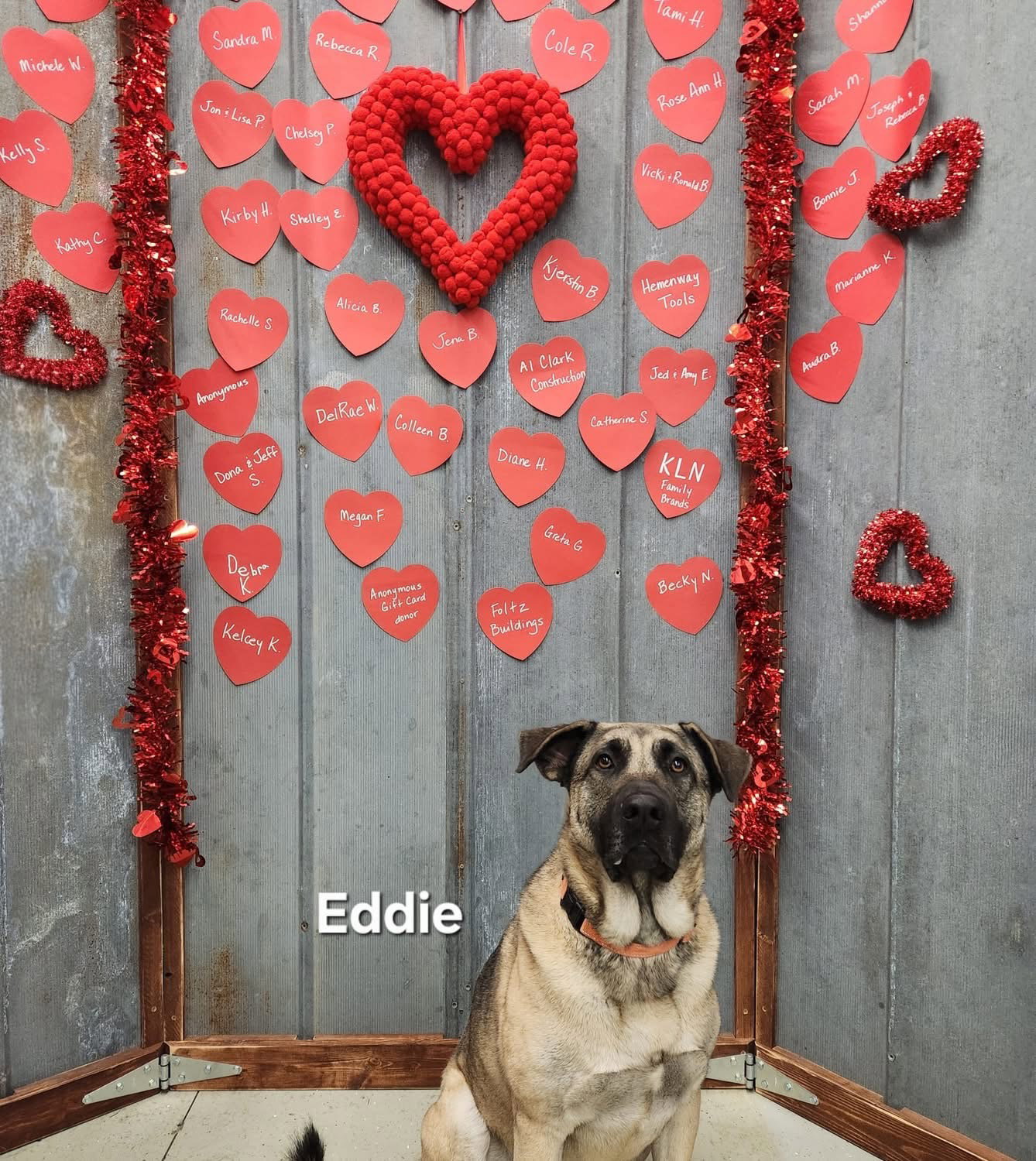 Eddie