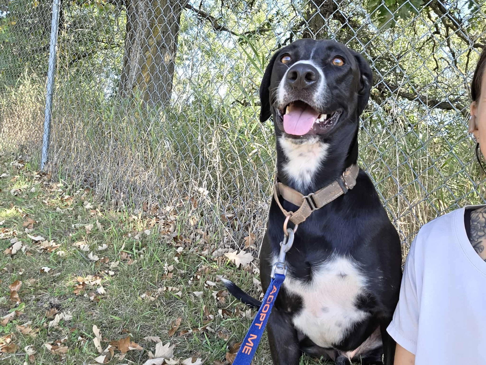 Remi