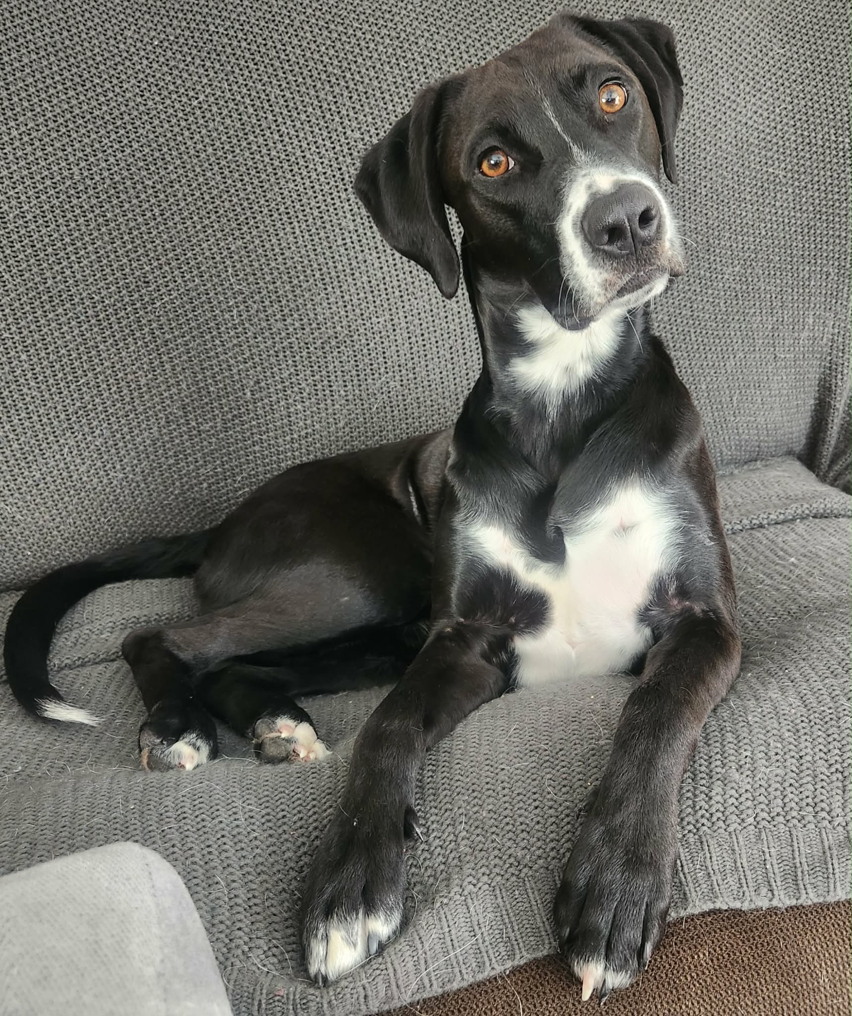 Remi