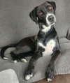 Remi - Photo 1