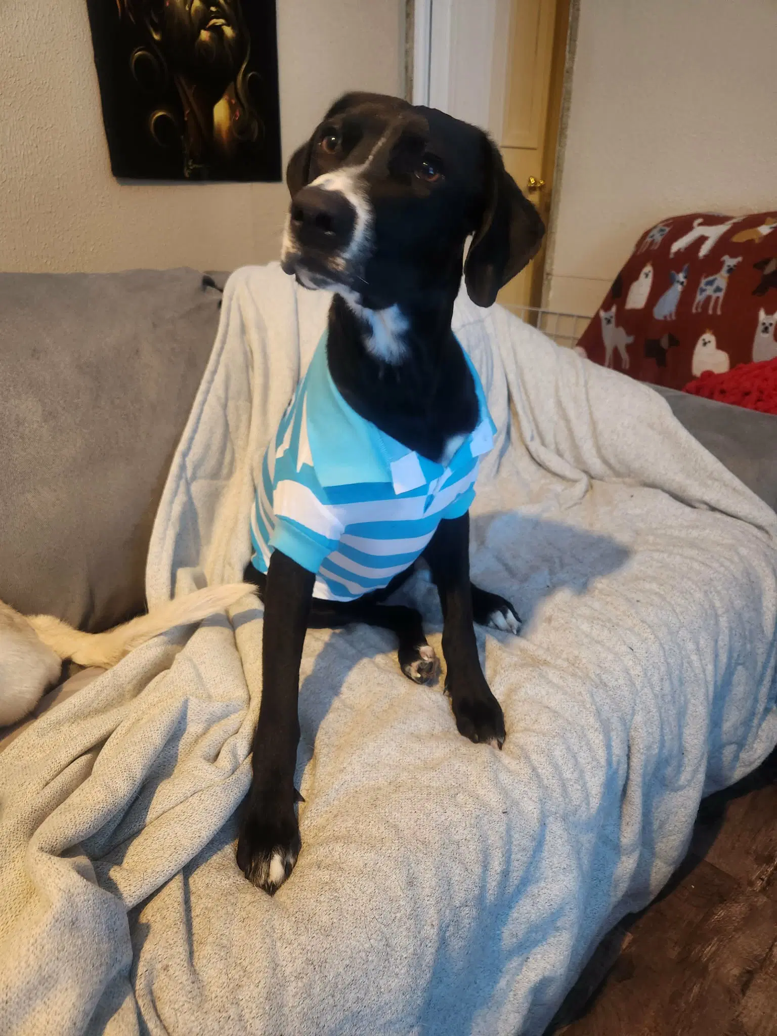 Remi image 4